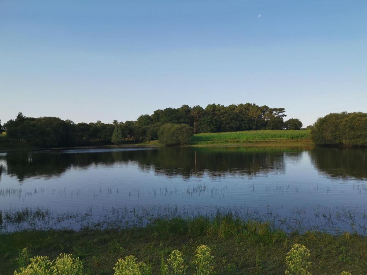 Le Domaine De La Hechaie Hotel Marzan Eksteriør billede